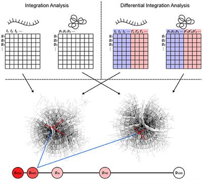 Differential Integration of Transcriptome and Proteome Identifies Pan-Cancer Prognostic Biomarkers